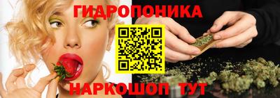 гашик Янаул